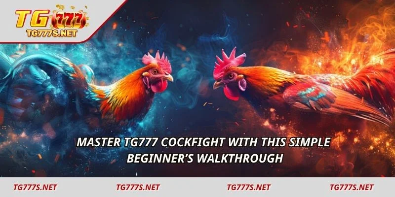 Master TG777 Cockfight with this simple beginner’s walkthrough