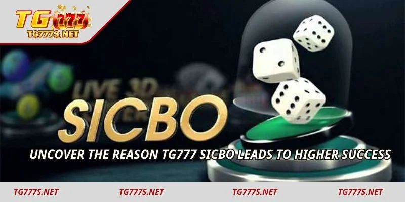 Uncover the reason TG777 Sicbo leads to higher success