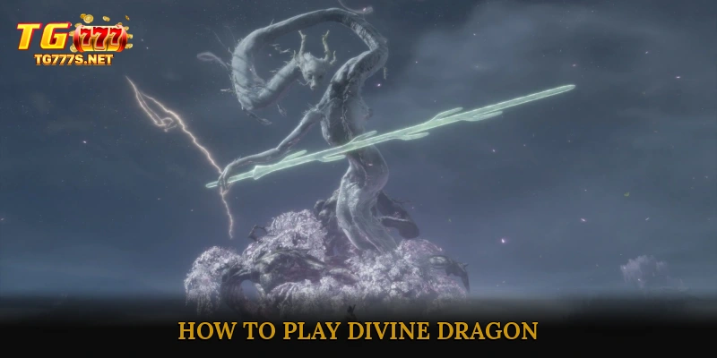 How to Play Divine Dragon