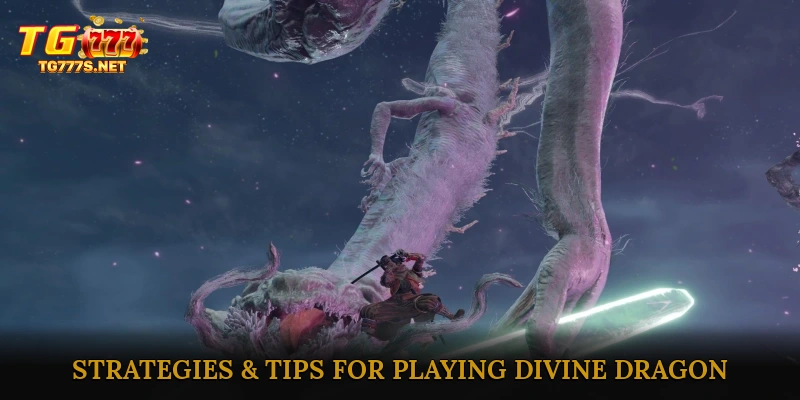 Strategies & Tips for Playing Divine Dragon