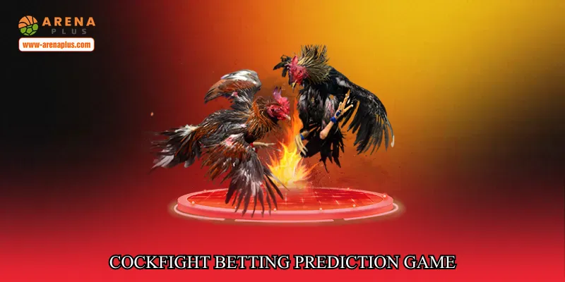 Cockfight Betting Prediction Game
